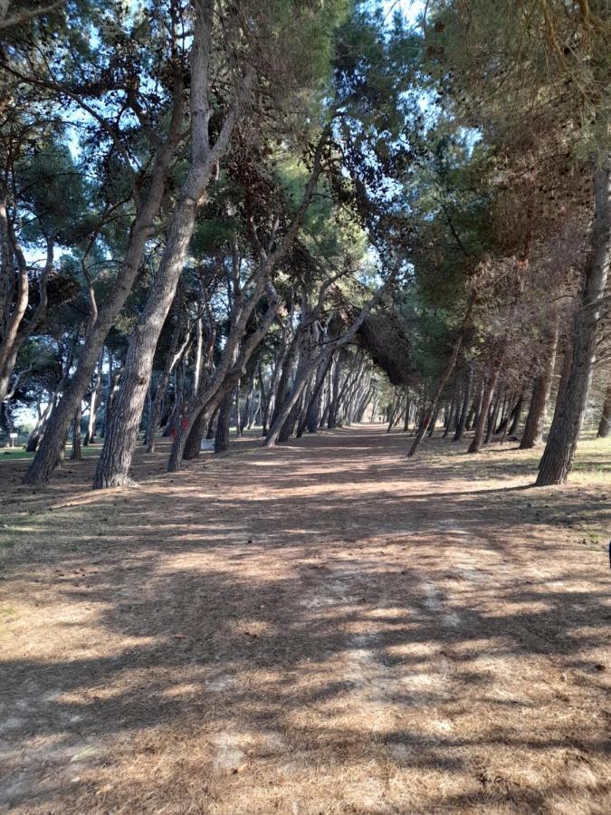 Bouganville Casa Vacanza Ambiente Climatizzato Con Wi Fi Pineto Exterior foto