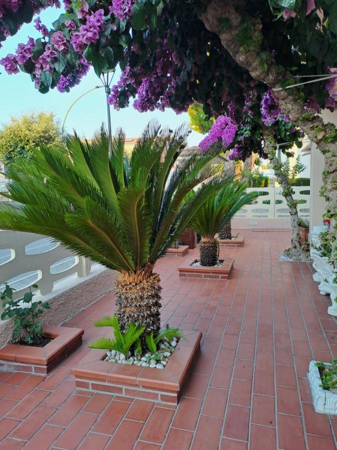 Bouganville Casa Vacanza Ambiente Climatizzato Con Wi Fi Pineto Exterior foto